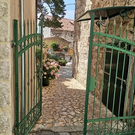 Bepo Collection ספליט